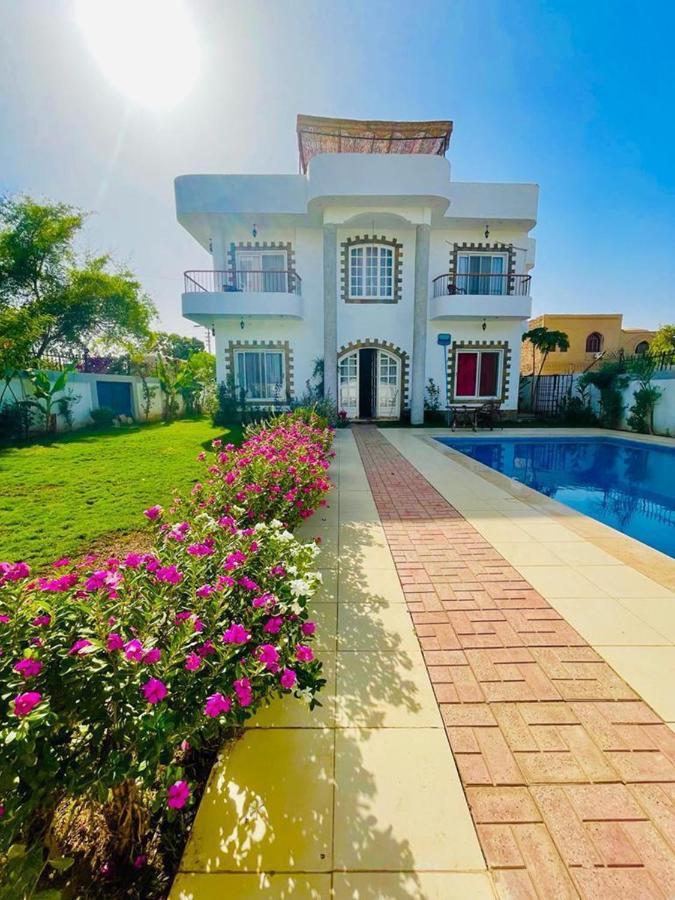 Ali Luxury Luxor