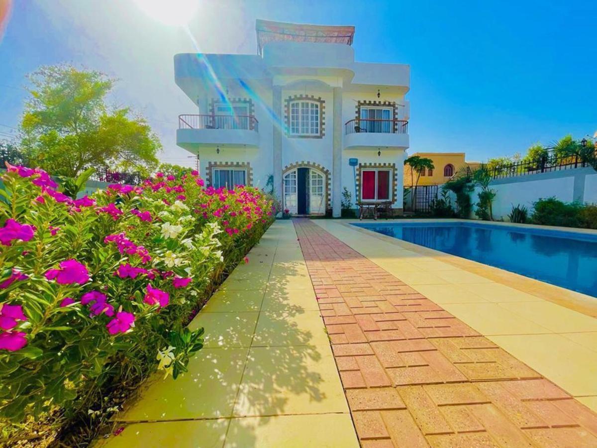 Ali Luxury Villa *