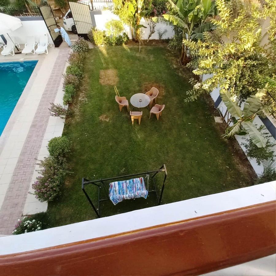 Ali Luxury Luxor
